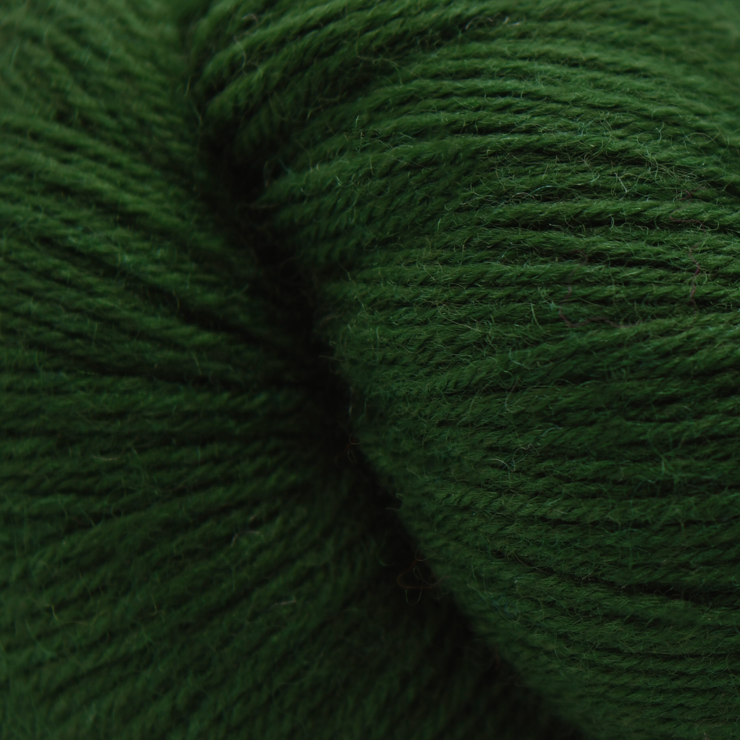 cascade-heritage-YarnSkeinColor5625